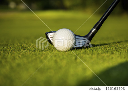 Sport and lifestyle, golf player playing in a golf club Sport and lifestyle, golf player playing in a golf club 116163308
