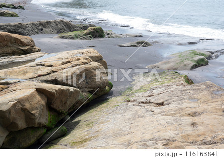 神奈川県稲村ヶ崎海岸の風景 116163841