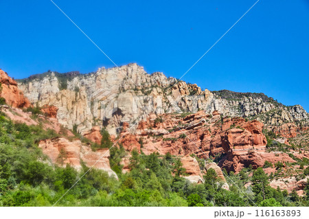 Sedona Red Rock Formations and Lush Greenery, Elevated View 116163893
