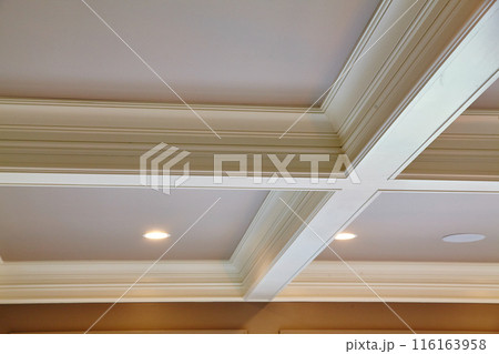 Elegant Crown Molding and Recessed Lighting Interior Design 116163958