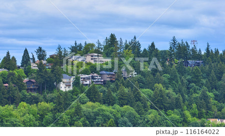 Aerial View of Forested Hillside Homes in Oregon 116164022
