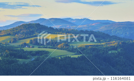 Aerial View of Rolling Hills and Forests at Sunrise in Oregon 116164081