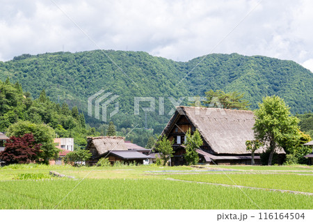 【白川郷】夏の合掌村の散策 【白川郷】夏の合掌村の散策 116164504