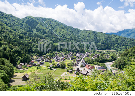【白川郷】展望台から見る夏の合掌村 116164506