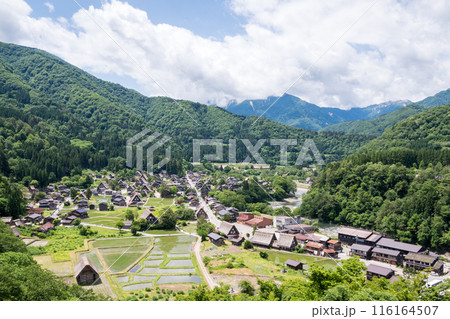 【白川郷】展望台から見る夏の合掌村 116164507