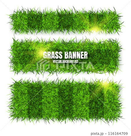 Green grass banners, background. Field, meadow texture, grassy landscape. Football playing pitch, soccer field. Sports ground, stadium. Ecology and environment protection. Vector illustration 116164709