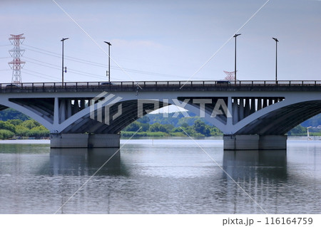 手賀沼と手賀大橋（千葉県） 116164759