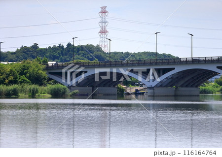 手賀沼と手賀大橋(千葉県) 手賀沼と手賀大橋(千葉県) 116164764