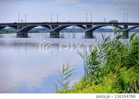 手賀沼と手賀大橋（千葉県） 116164766