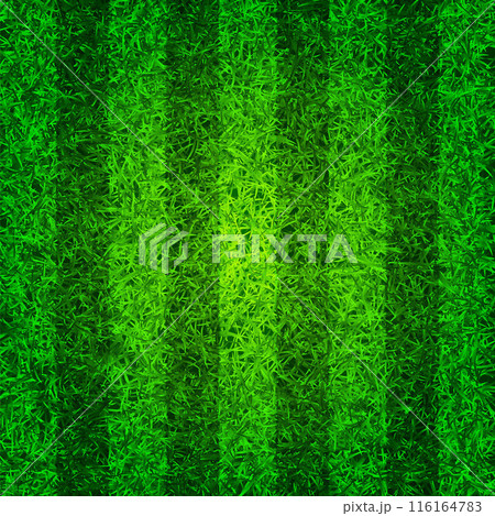 Soccer playing field with green grass. Football pitch background with stripes. Sports ground, stadium with fake or natural grass. Vector illustration 116164783