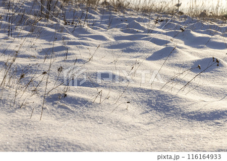 drifts of pure white snow after a snowfall 116164933