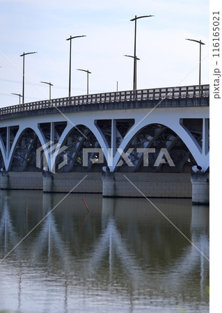 手賀沼と手賀大橋（千葉県） 116165021