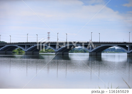 手賀沼と手賀大橋（千葉県） 116165029