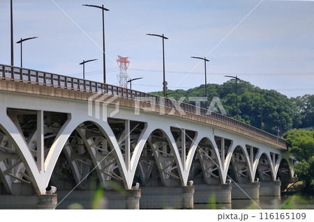 手賀沼と手賀大橋(千葉県) 手賀沼と手賀大橋(千葉県) 116165109
