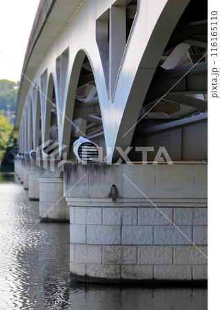 手賀沼と手賀大橋（千葉県） 116165110