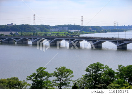 手賀沼と手賀大橋（千葉県） 116165171