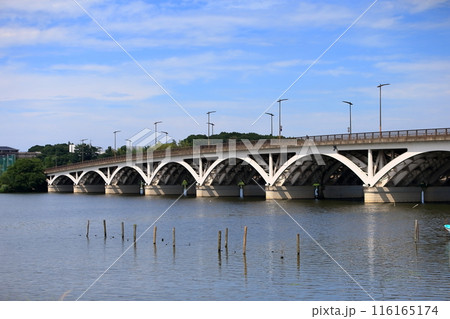 手賀沼と手賀大橋（千葉県） 116165174