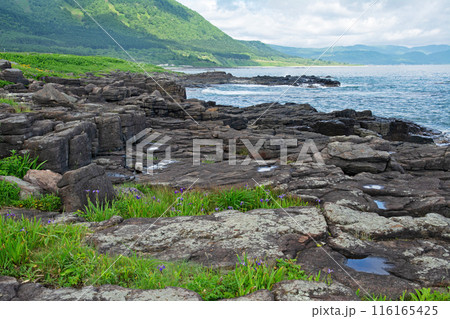 枝幸　ウスタイベ千畳岩 116165425