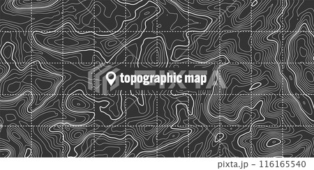 Topographic map with contour lines. Geographic terrain grid, relief height elevation. Ground path pattern. Travel and navigation, cartography design element. Vector illustration Topographic map with contour lines. Geographic terrain grid, relief height elevation. Ground path pattern. Travel and navigation, cartography design element. Vector illustration 116165540