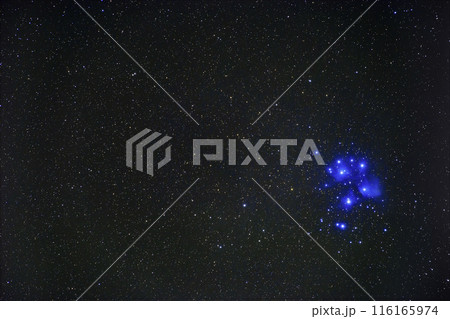 秋の星空 青く輝くプレアデス星団(昴) 秋の星空 青く輝くプレアデス星団(昴) 116165974