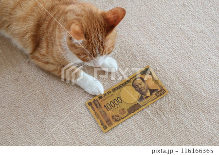 Japan Bank 10000 yen new banknote toy with cat in Tokyo, japan. July 3, 2023 116166365