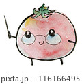 教鞭をとるかわいいトマトのキャラクター 116166495