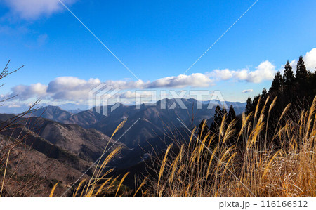 揺れるすすきと遠くの山々 揺れるすすきと遠くの山々 116166512