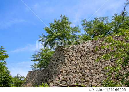 津山城 津山城 116166696