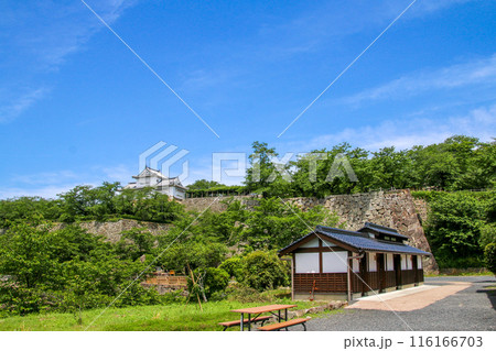 津山城 116166703
