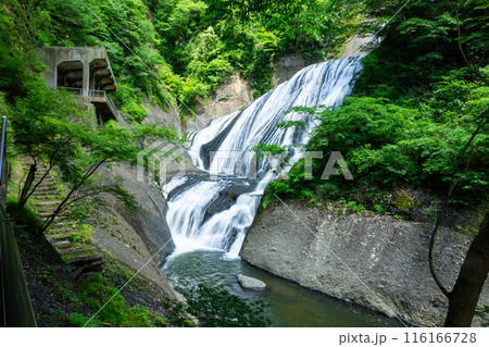 袋田の滝 116166728