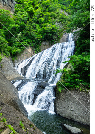 袋田の滝 116166729
