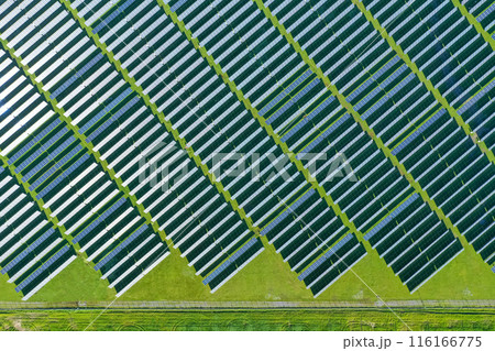 Solar panels on field in summer, aerial drone view 116166775