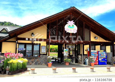 いいでどんでん平ゆり園 116166786