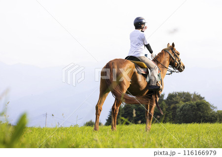 乗馬を楽しむ女性 乗馬を楽しむ女性 116166979