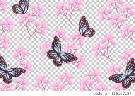 Fujibakama and butterflies Fujibakama and butterflies 116167184