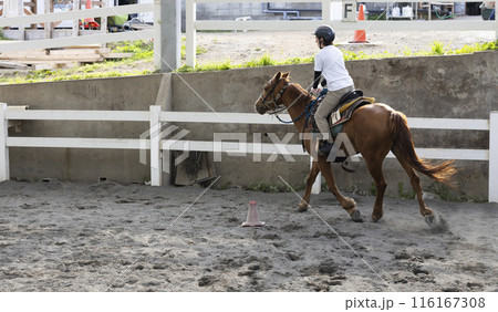 乗馬を楽しむ女性 乗馬を楽しむ女性 116167308