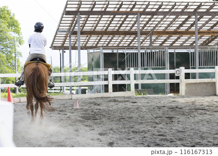 乗馬を楽しむ女性 乗馬を楽しむ女性 116167313