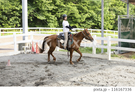 乗馬を楽しむ女性 乗馬を楽しむ女性 116167336