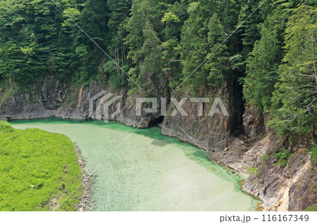 初夏の高瀬渓谷 116167349