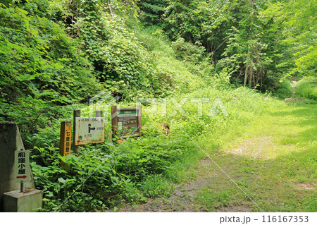 七倉岳登山口 116167353