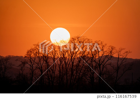 沈みゆく夕陽 116167539