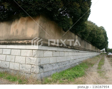 日本の飛行機の父 中島知久平は両親のために近代和風建築(2010.11.13) で押切に建造 南東角 116167954