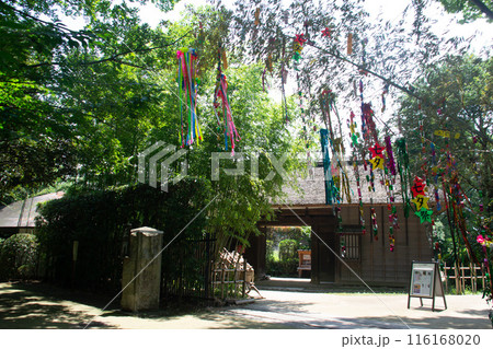 古民家と七夕 116168020