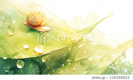 雨の日の葉っぱの上のカタツムリの水彩イラスト 116168022