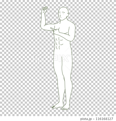 上腕二頭筋を指差しするシンプルな人物のイラスト 上腕二頭筋を指差しするシンプルな人物のイラスト 116168127