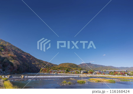 京都嵐山 紅葉 渡月橋からの眺め 京都嵐山 紅葉 渡月橋からの眺め 116168424