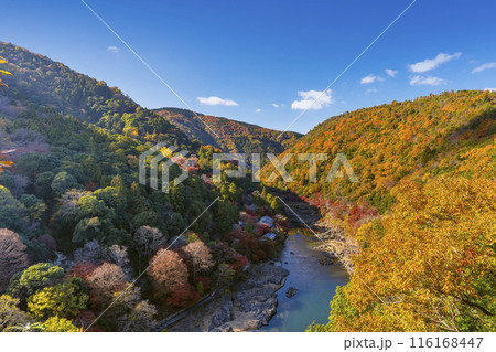 京都　紅葉の嵐峡　嵐山公園展望台からの眺望 116168447