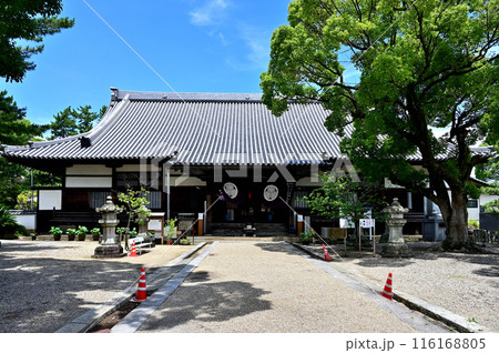 大樹寺 本堂 大樹寺 本堂 116168805