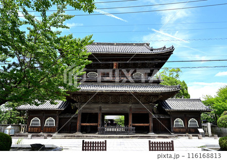 大樹寺　山門　 116168813