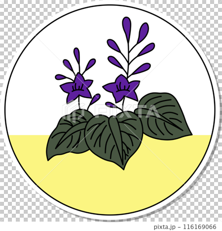 ステッカー風の円形花札 師走 桐 12月 桐のカス ステッカー風の円形花札 師走 桐 12月 桐のカス 116169066